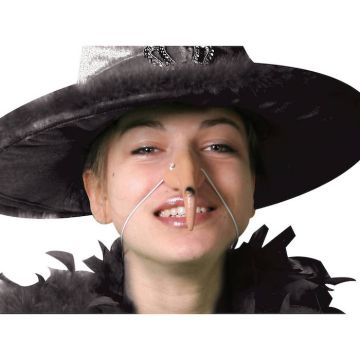 Krum Häxnos Med Vårta 