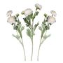 Ranunkel Blommor Vita 3x
