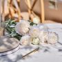Ranunkel Blommor Vita 3x