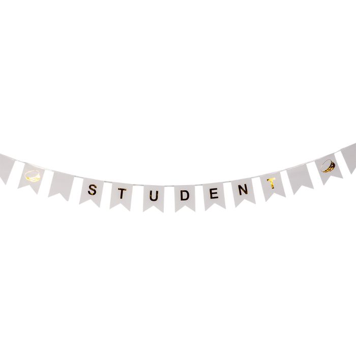 Studentbanner girlang med flaggor 3 m