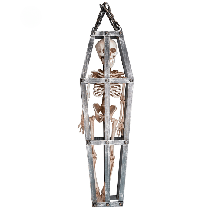 Skelett i bur - 50 cm