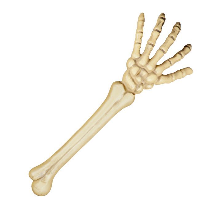 Halloween skelettarm - 46 cm