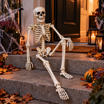 Halloween Skelett 90 cm 