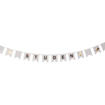 Studentbanner girlang med flaggor 3 m