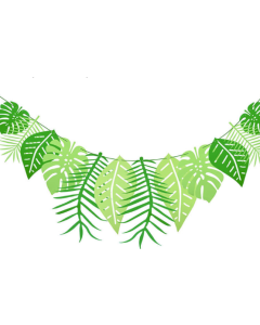 Monstera Girlang Blad