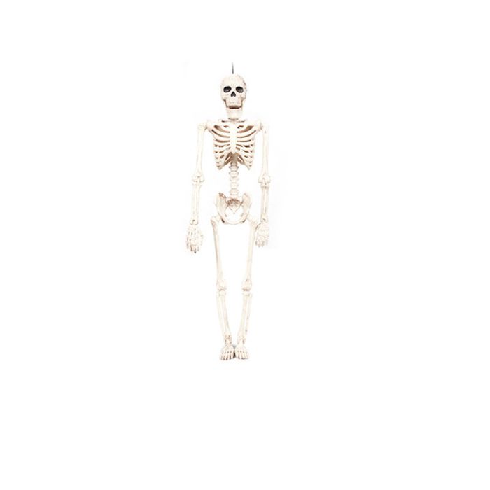 Halloween-Skelett
