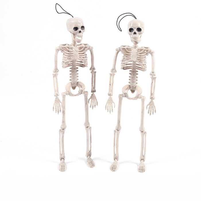 Halloween-Skelett