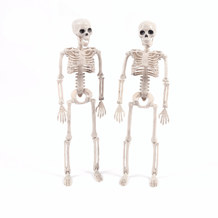 Halloween-Skelett