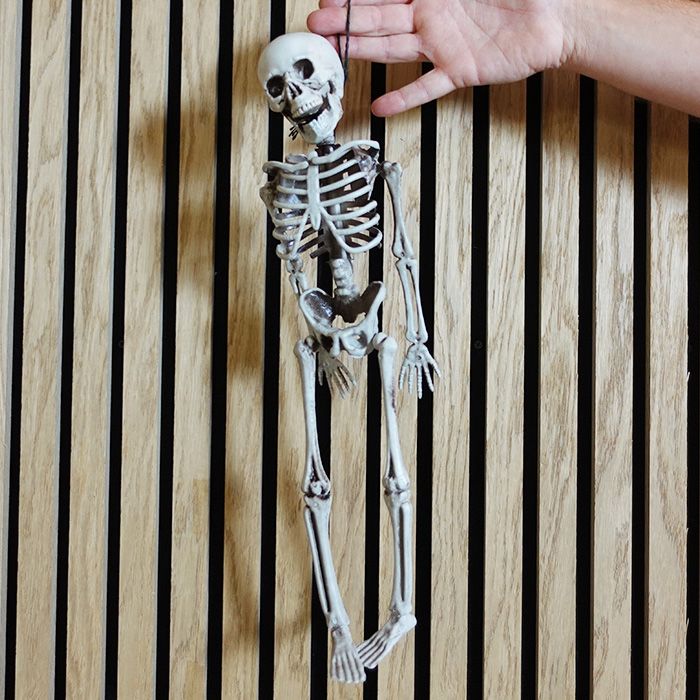 Halloween-Skelett