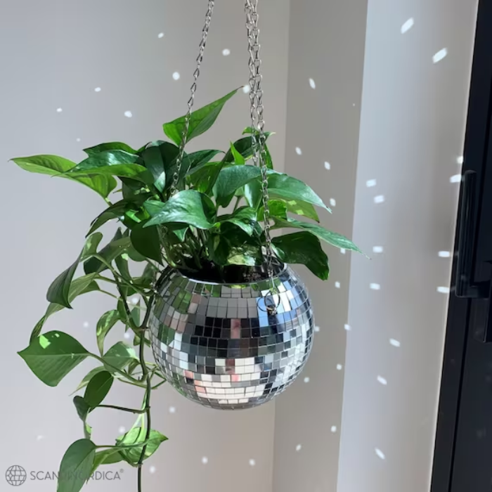 Discokula växtskydd 13x18x20 cm