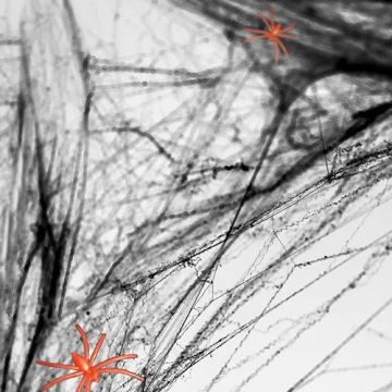 Svart Spindelnät Med Spindlar