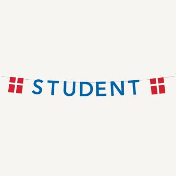 Blå studentgirland med flaggor 0,27X4 m