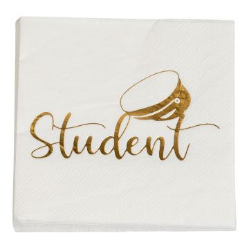 Servetter med studentmotiv guld 16x - 33x33 cm