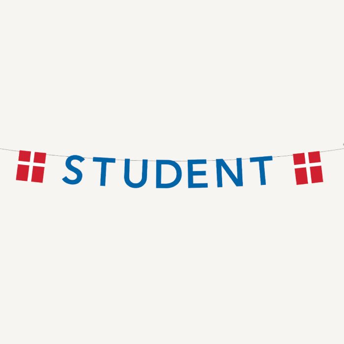 Blå studentgirland med flaggor 0,27X4 m