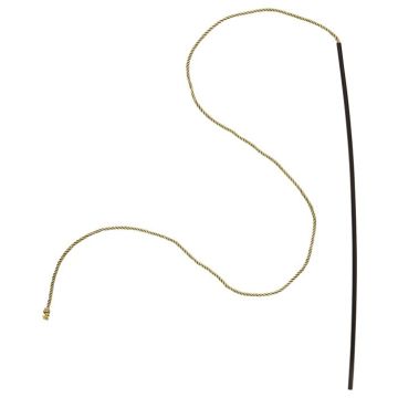 Cirkus Lejon Tränar Piska