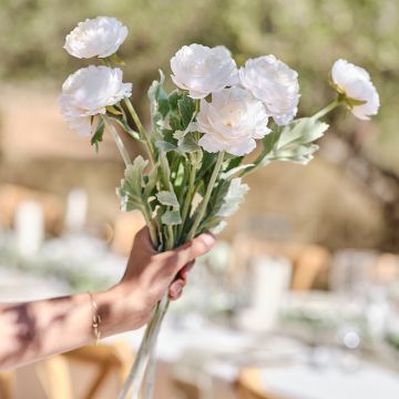 Ranunkel Blommor Vit 3x